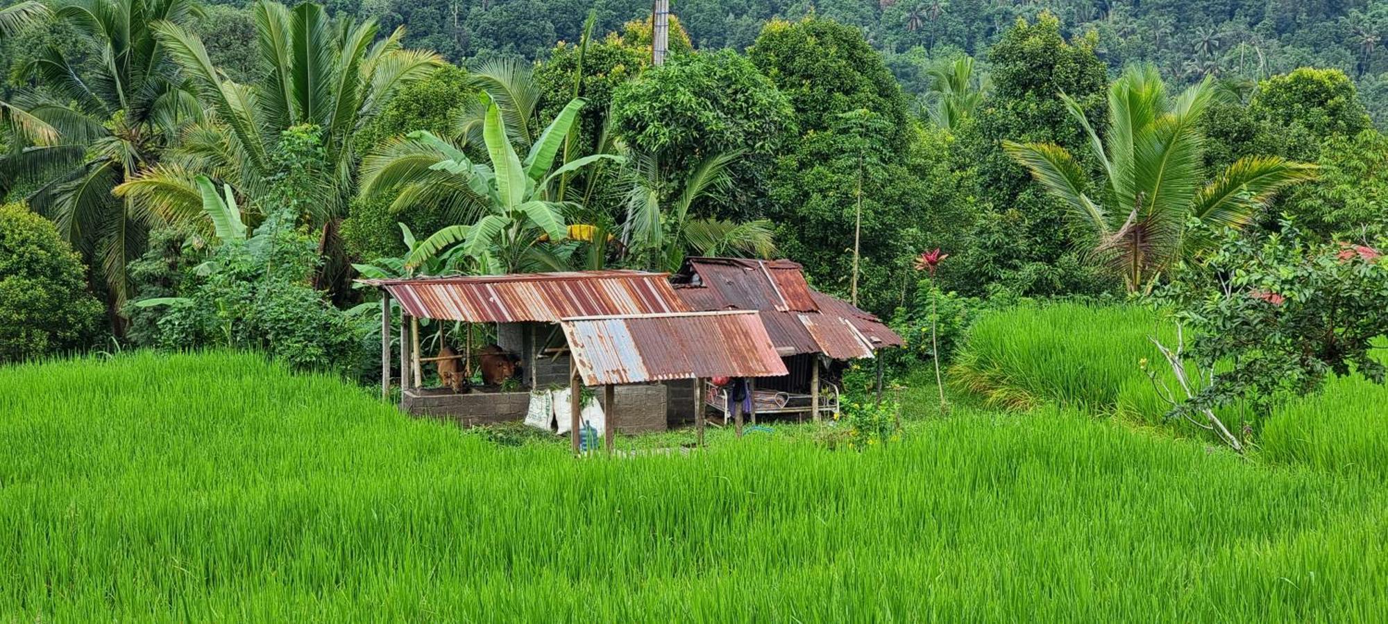 Utopiaku - Munduk Highlands 빌라 외부 사진