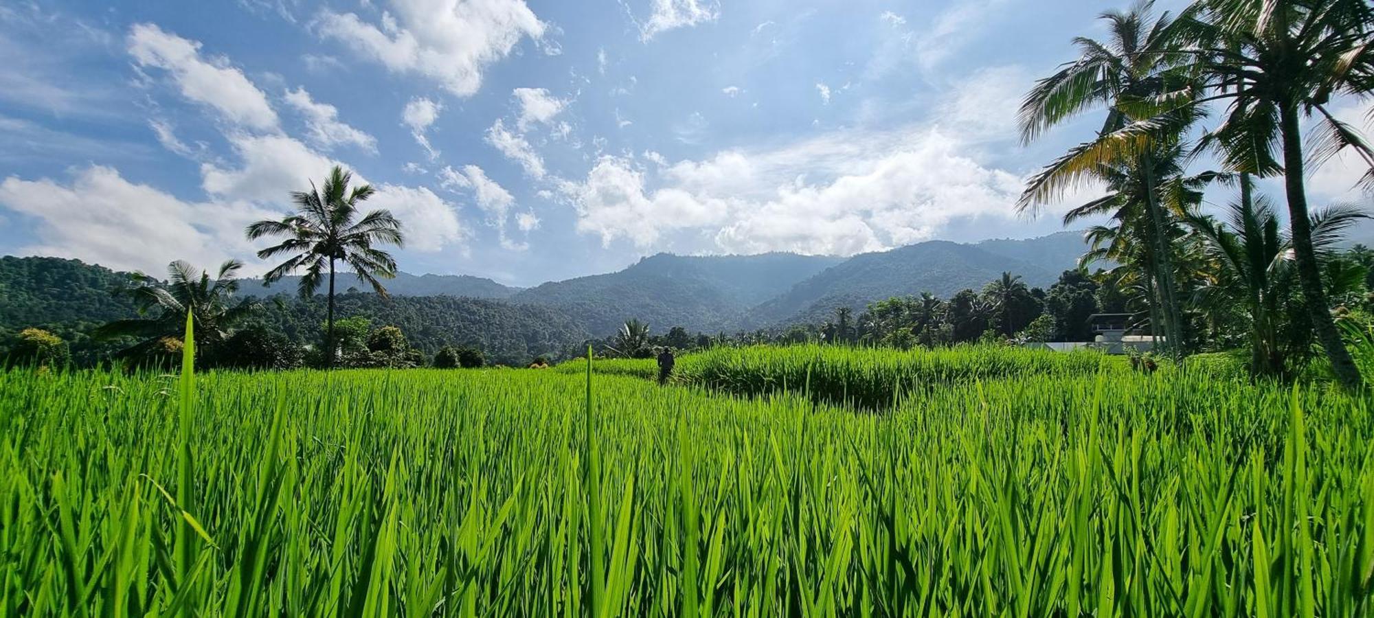 Utopiaku - Munduk Highlands 빌라 외부 사진