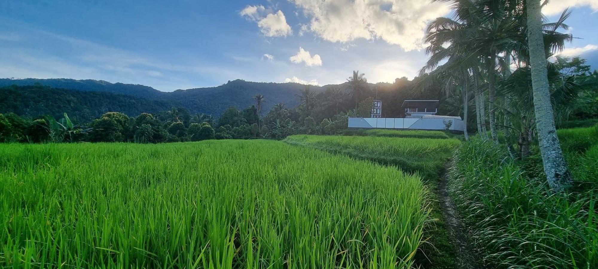 Utopiaku - Munduk Highlands 빌라 외부 사진